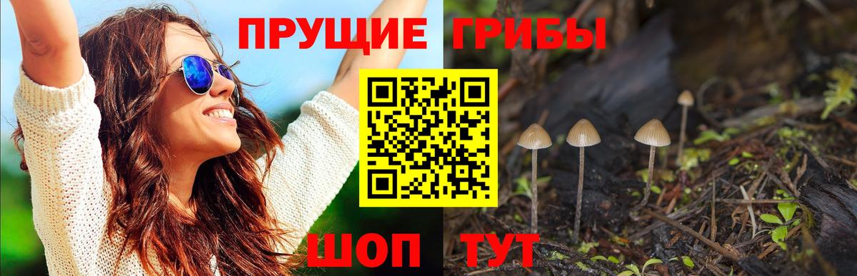 Галлюциногенные грибы прущие грибы Лобня