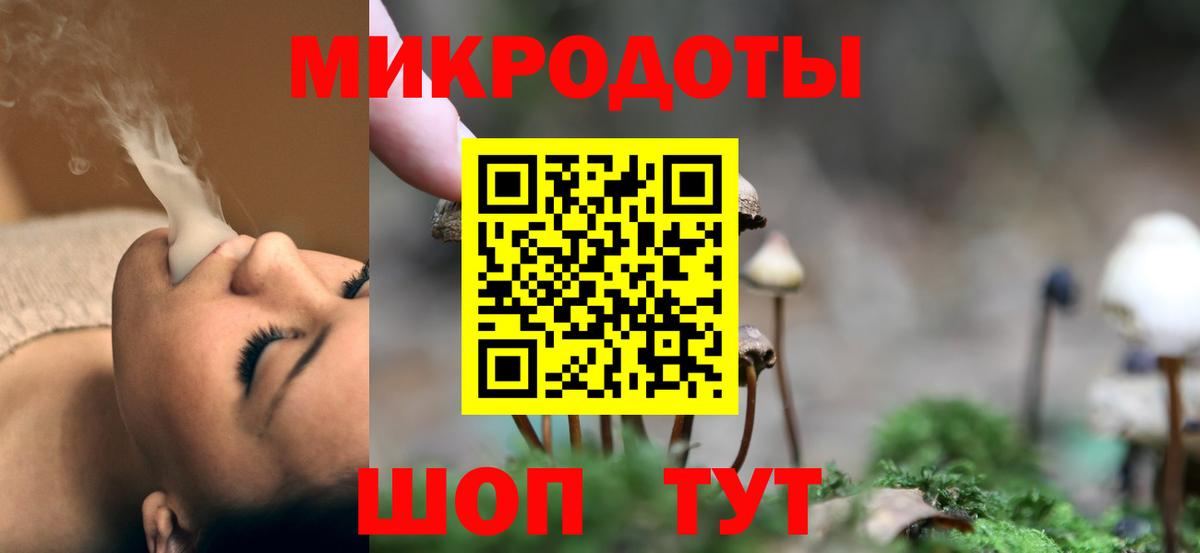 Галлюциногенные грибы Psilocybe  Вход с VPN  Лобня 